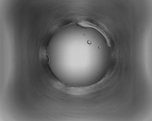 X0000113910045200909241518