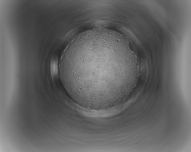 X0000113910046200909241518