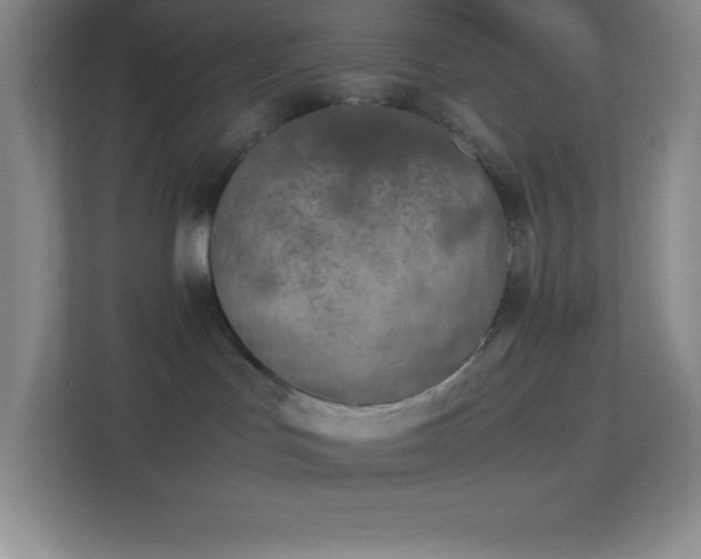 X0000113910047200909241518