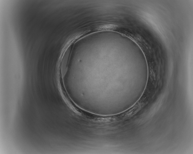 X0000113910049200909241517