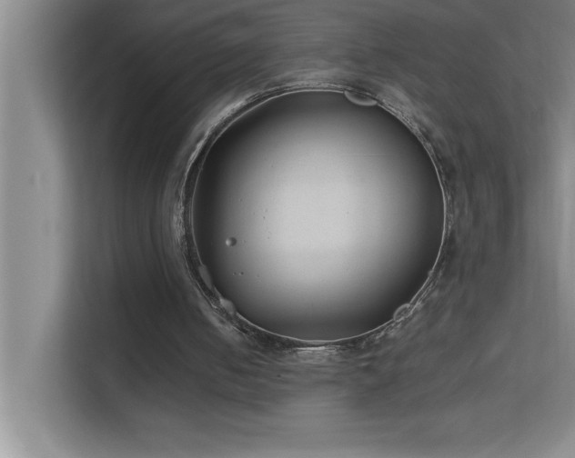 X0000113910050200909241517