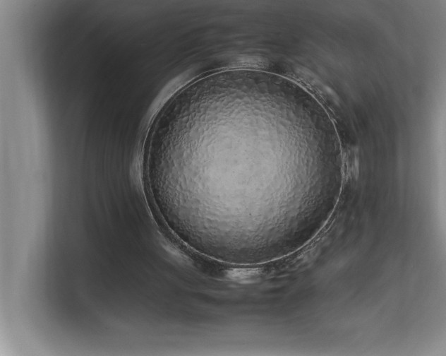 X0000113910051200909241517