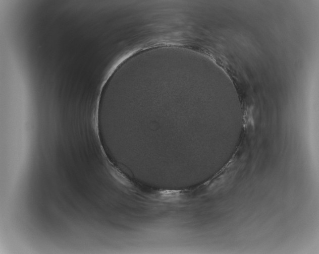 X0000113910052200909241517