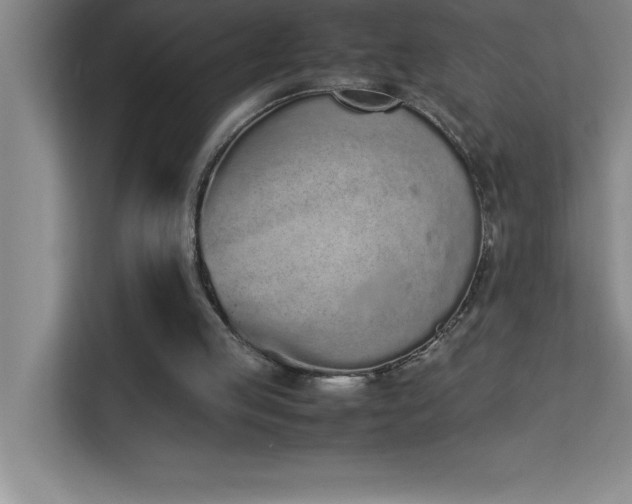 X0000113910053200909241518