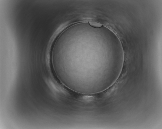 X0000113910055200909241518
