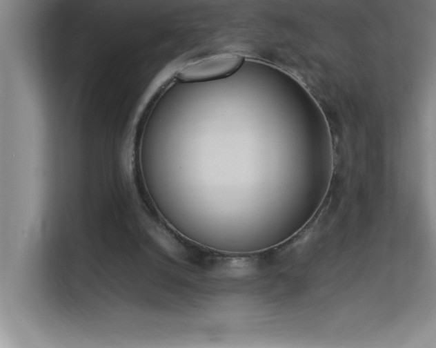 X0000113910056200909241518