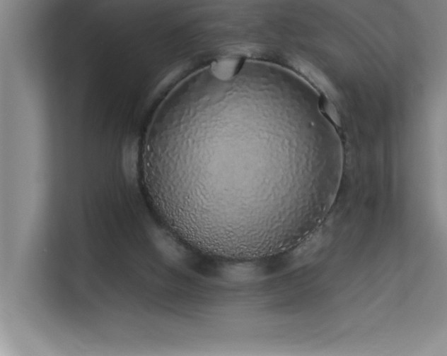 X0000113910058200909241518