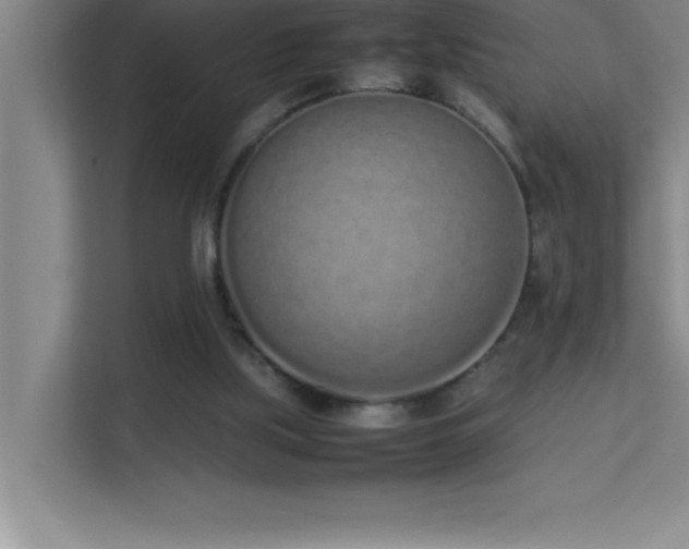 X0000113910059200909241518