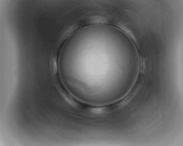X0000113910061200909241518