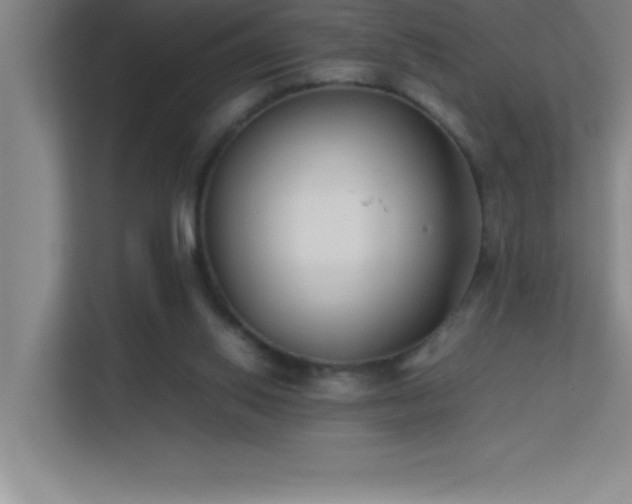 X0000113910062200909241518