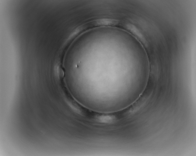 X0000113910063200909241518
