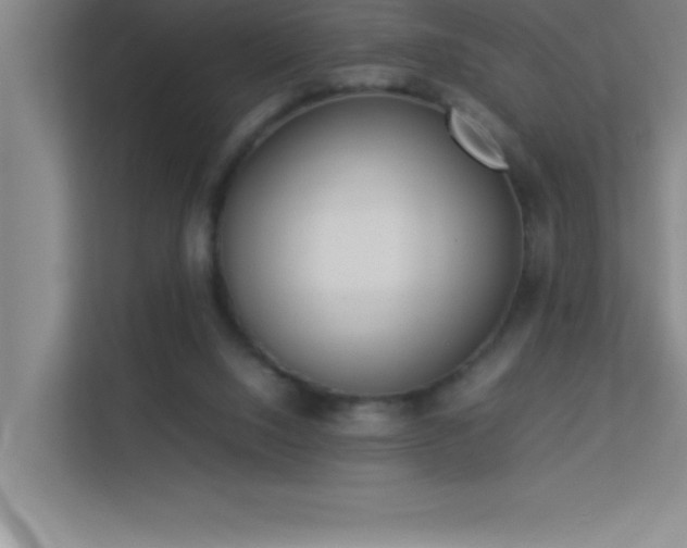X0000113910064200909241518