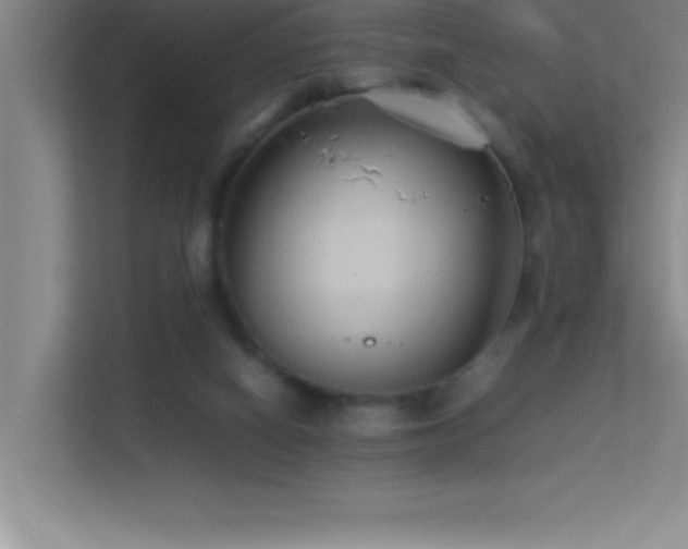 X0000113910066200909241518