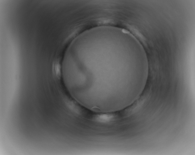 X0000113910067200909241518