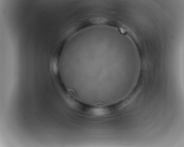 X0000113910069200909241518