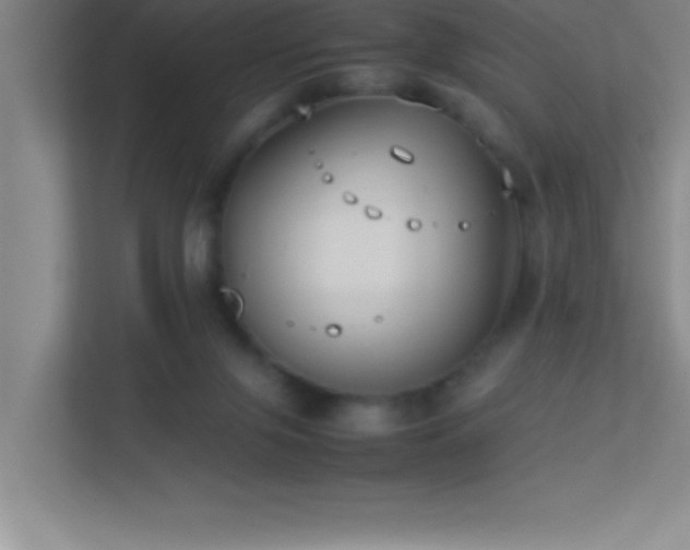 X0000113910071200909241518