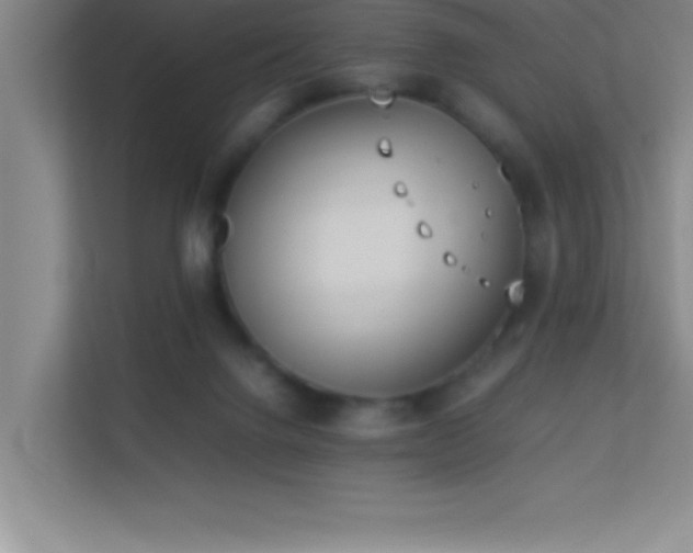 X0000113910072200909241518