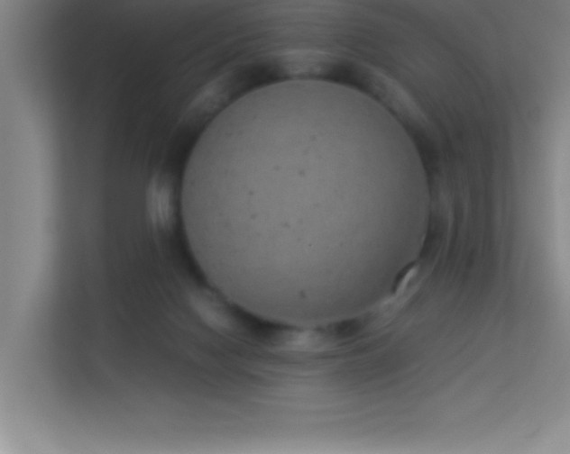X0000113910074200909241518
