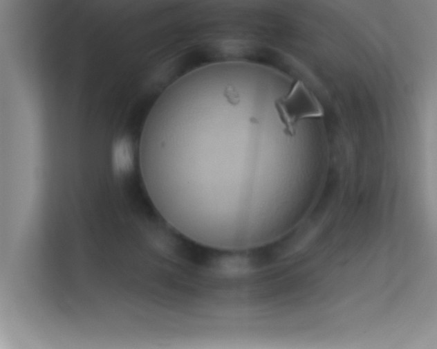 X0000113910075200909241518