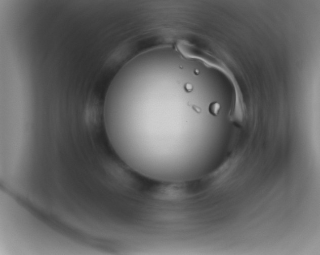 X0000113910078200909241518