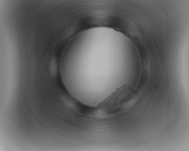 X0000113910080200909241518