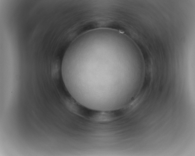 X0000113910082200909241518