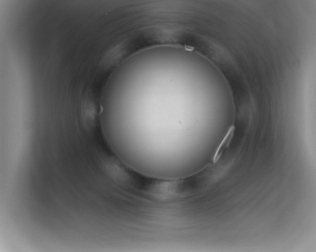 X0000113910084200909241518