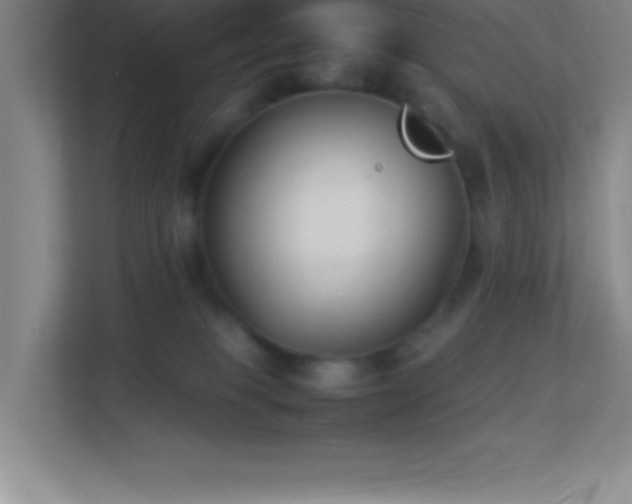 X0000113910085200909241518