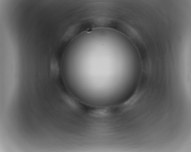 X0000113910086200909241518