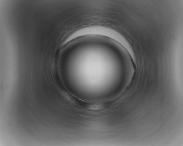 X0000113910088200909241518