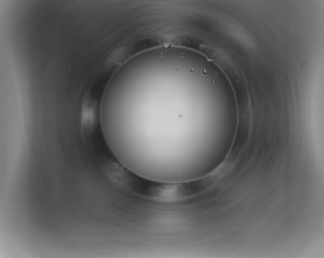 X0000113910090200909241518