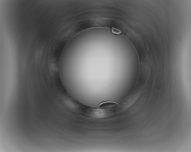 X0000113910091200909241518