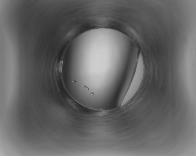 X0000113910092200909241518