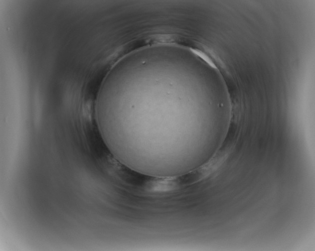 X0000113910093200909241518