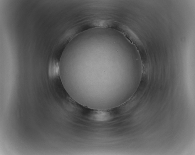 X0000113910095200909241518