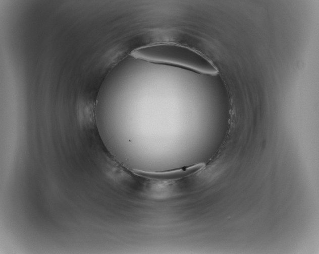 X0000113910096200909241518