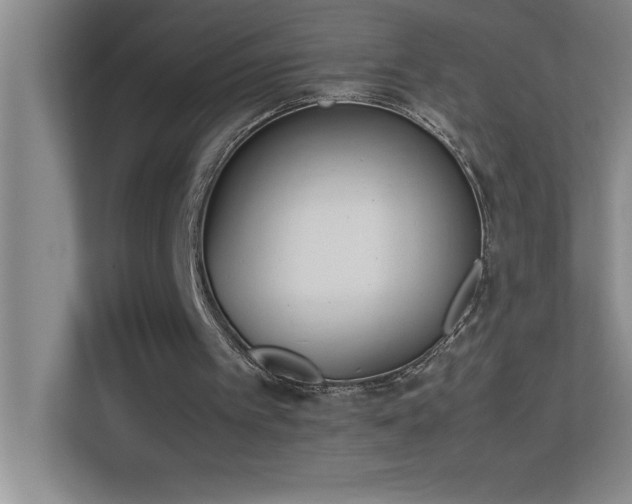 X0000113910097200909241517