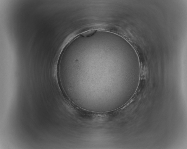 X0000113910099200909241517