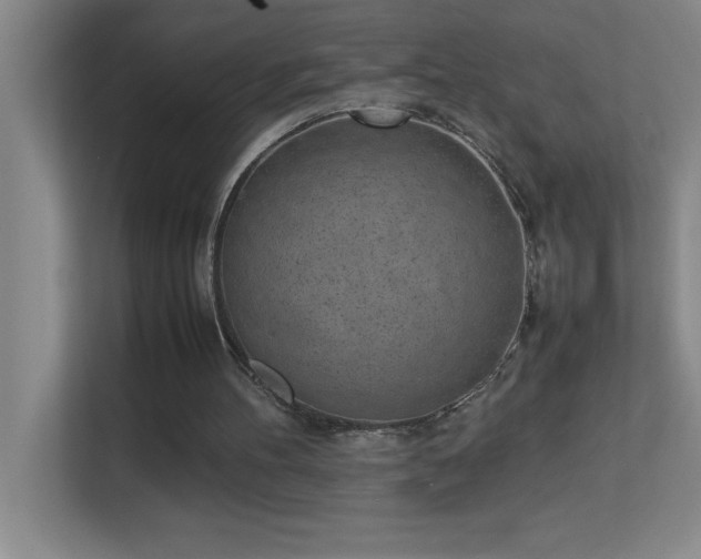 X0000113910100200909241517