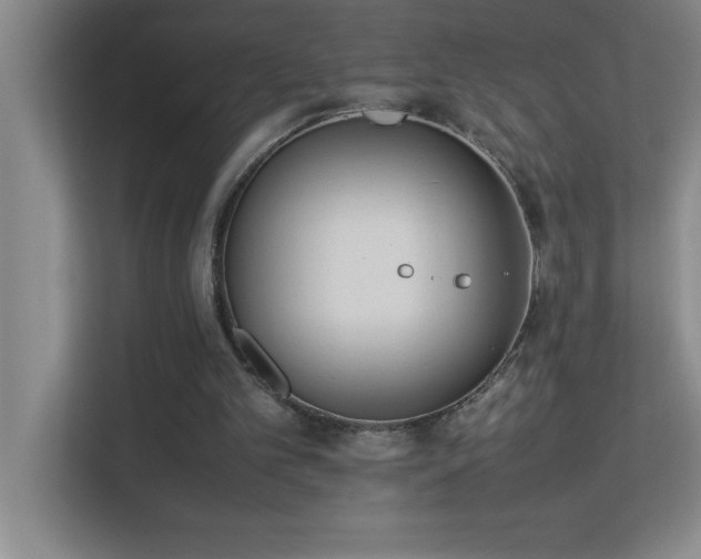 X0000113910101200909241517