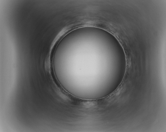 X0000113910102200909241517