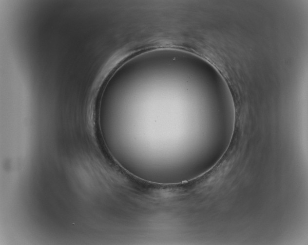 X0000113910103200909241517