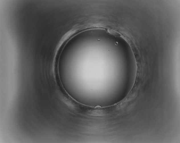 X0000113910104200909241517