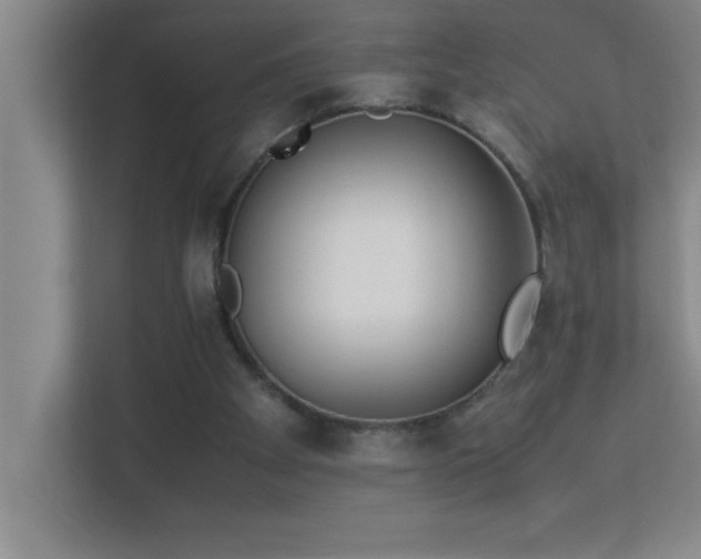 X0000113910105200909241517