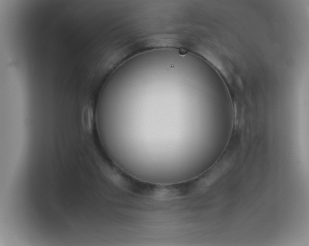 X0000113910109200909241517