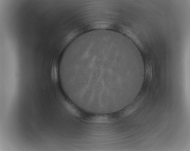 X0000113910110200909241517