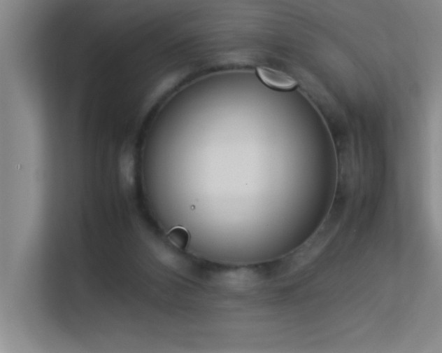 X0000113910112200909241517