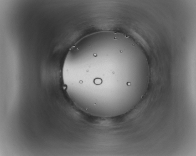 X0000113910113200909241517