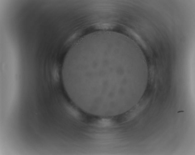 X0000113910114200909241517