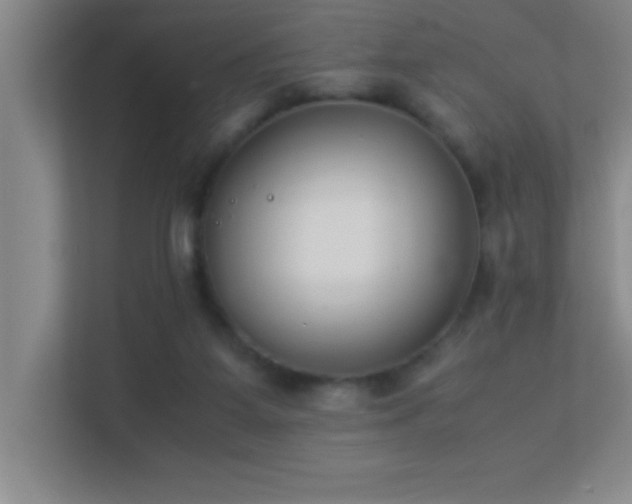 X0000113910115200909241517